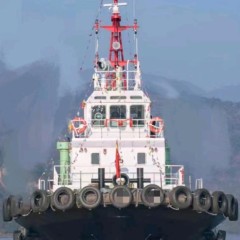2023年福建造（新船）常规拖轮图1