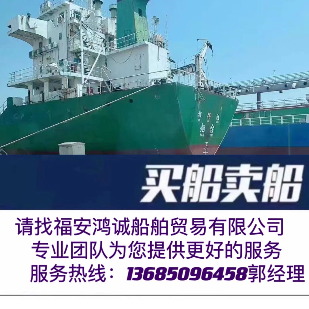 出售07年5500吨多用途集装箱船