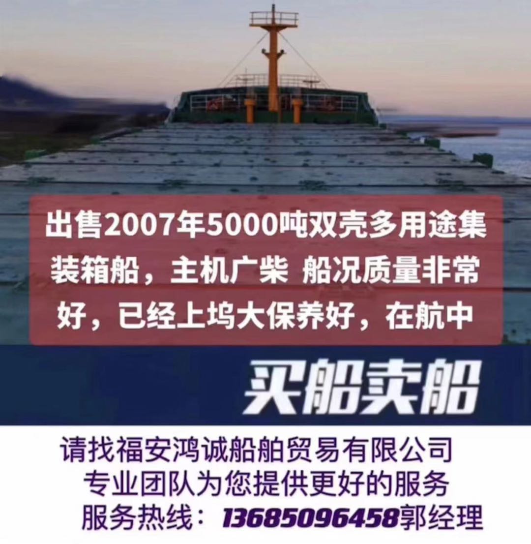 出售07年5000吨双壳多用途集装箱船