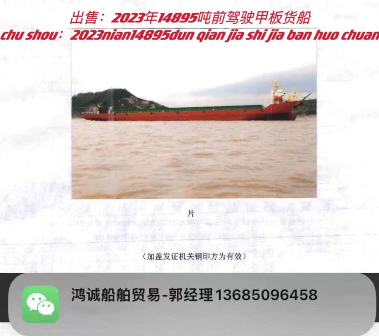 出售2023年14895吨前驾驶甲板货船 - 图片 4