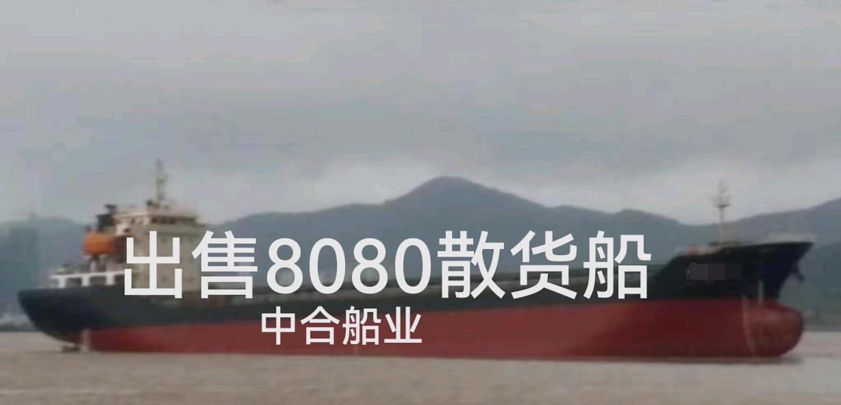 出售多艘08-09年建造散货船