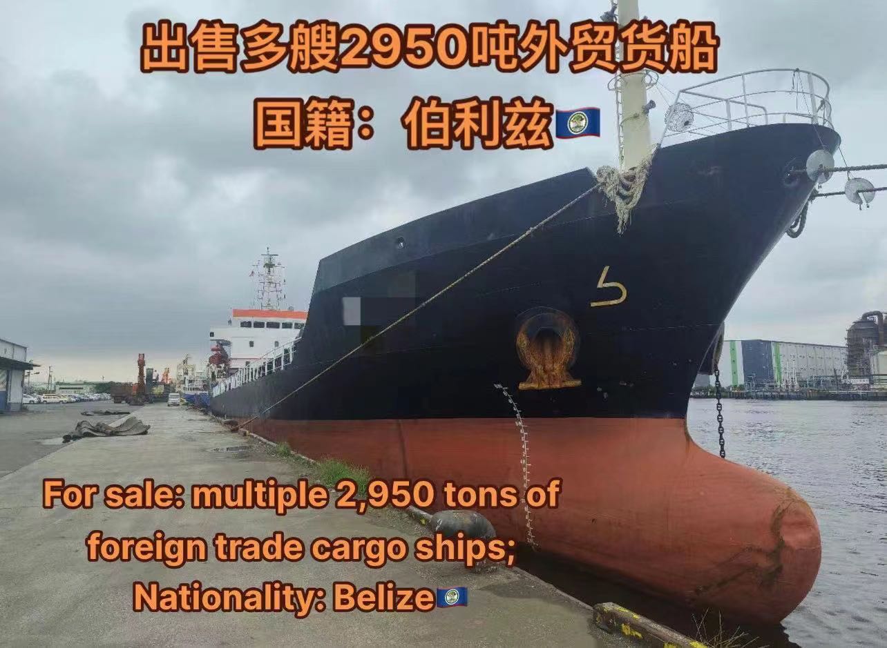 出售：多艘2950吨外贸货船 国籍：伯利兹