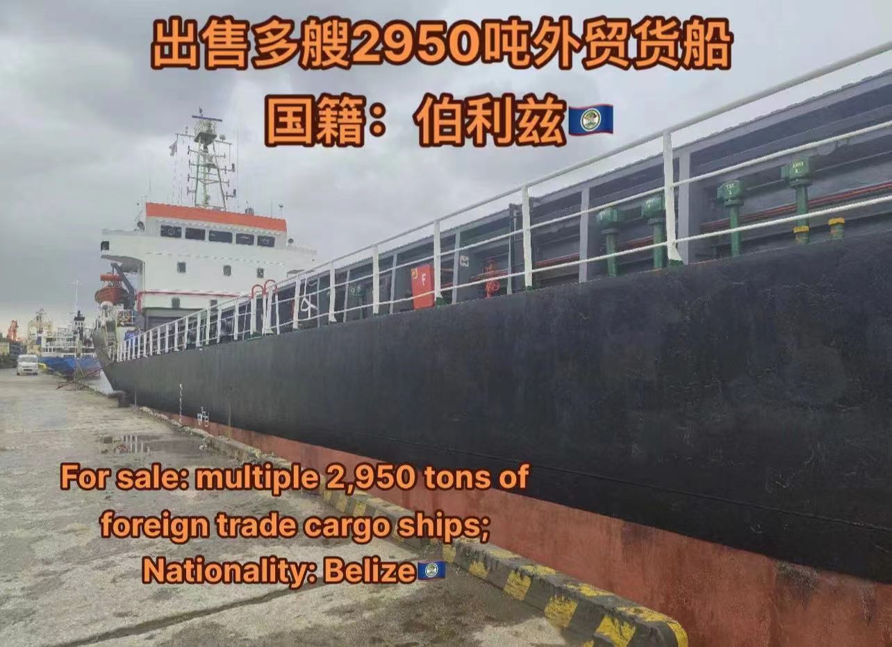 出售：多艘2950吨外贸货船 国籍：伯利兹