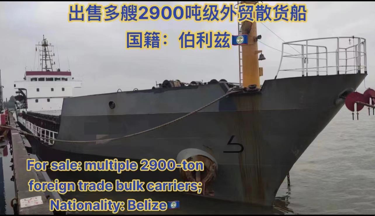 出售：多艘2900吨级外贸散货船；国籍：伯利兹