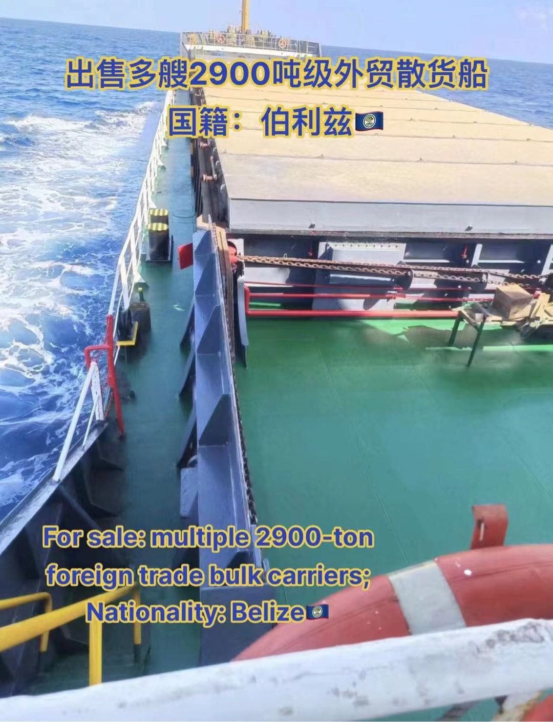 出售：多艘2900吨级外贸散货船；国籍：伯利兹 - 图片 2