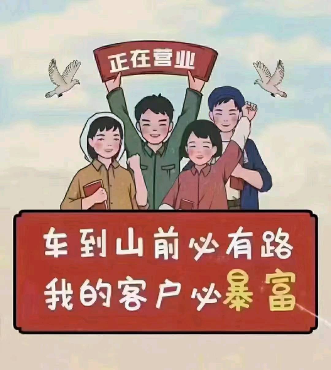 各种各样的船舶