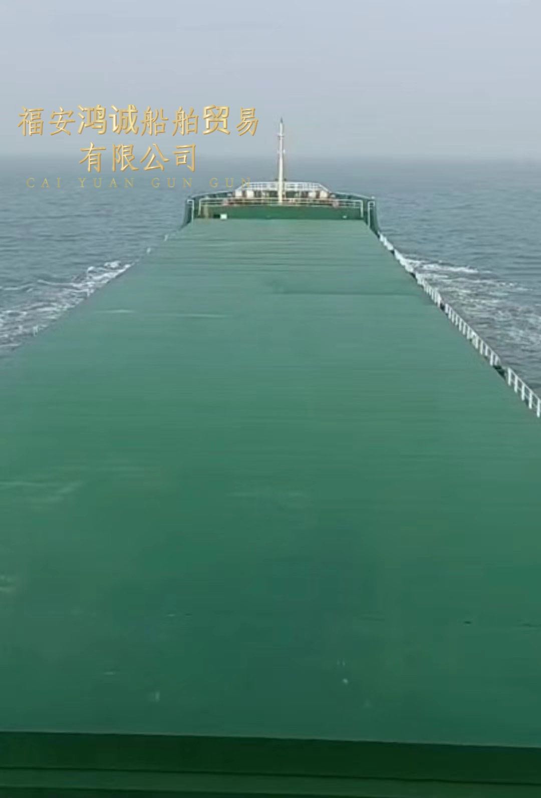 出售17200吨在航散货船： 2021年11月安徽建造 - 图片 2
