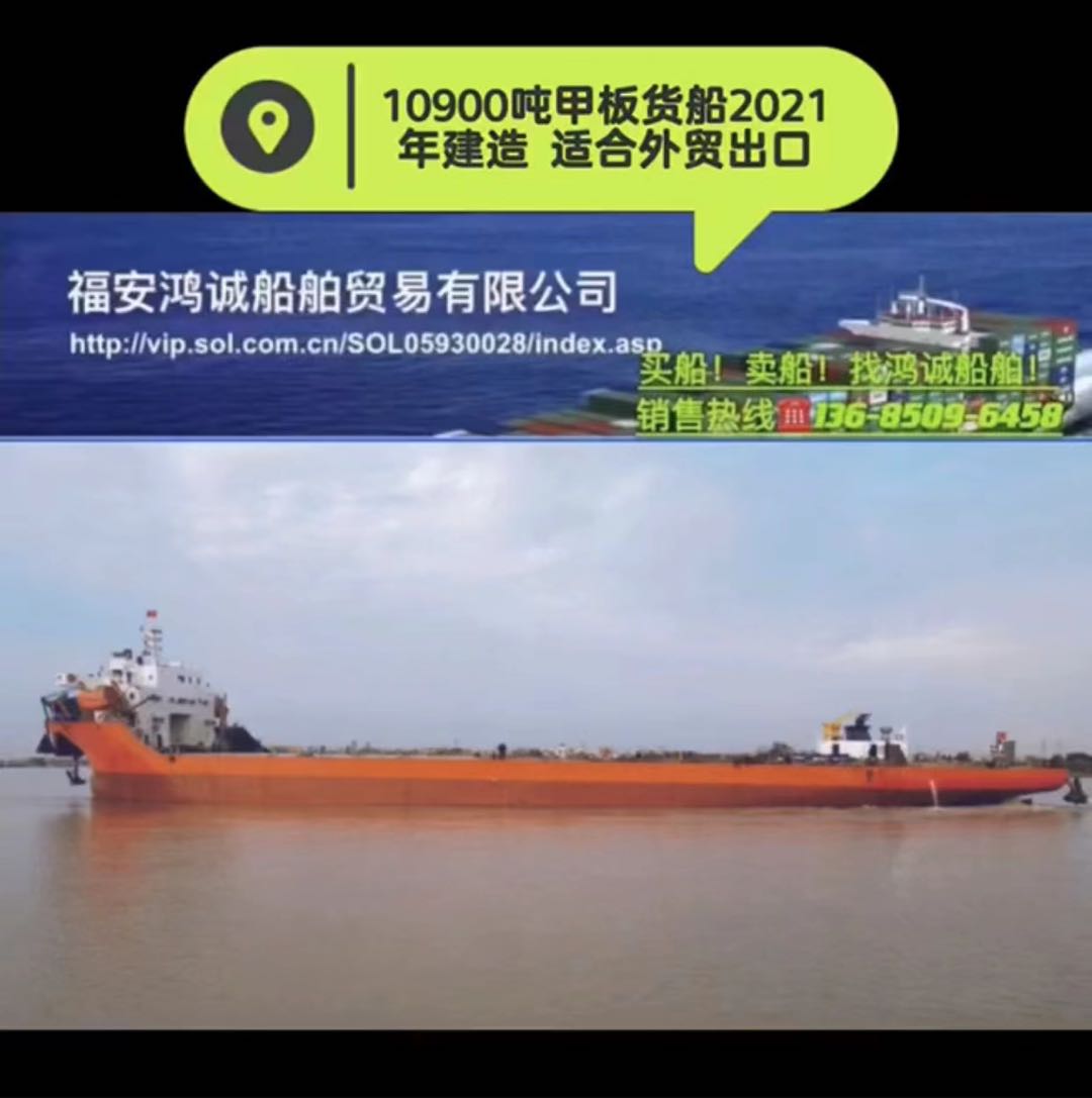 出售10900吨在航甲板货船（前驾/前跳板） 2021年11月江苏建造