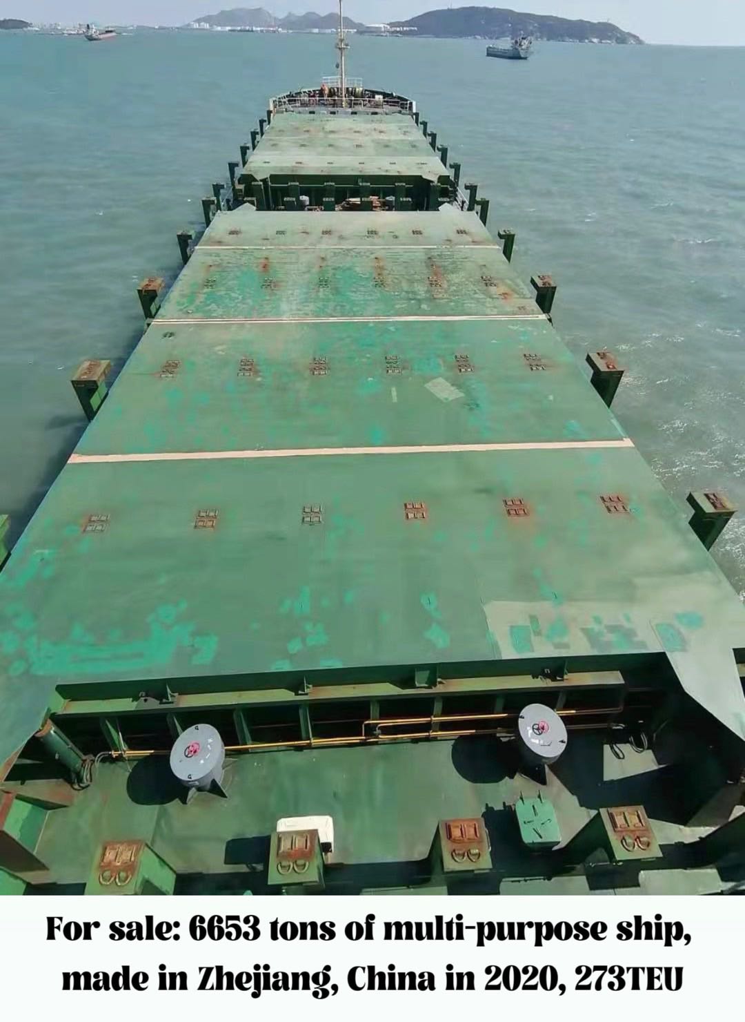 For sale: 6653 tons of multi-purpose ship, made in Zhejiang, China in 2020, 273TEU - 图片 2