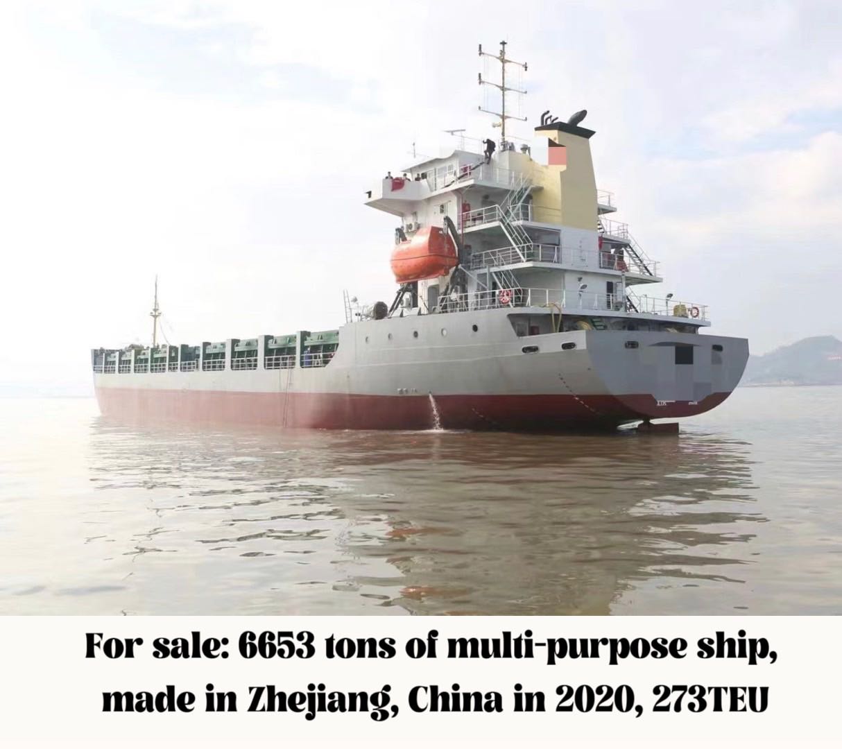 For sale: 6653 tons of multi-purpose ship, made in Zhejiang, China in 2020, 273TEU - 图片 3