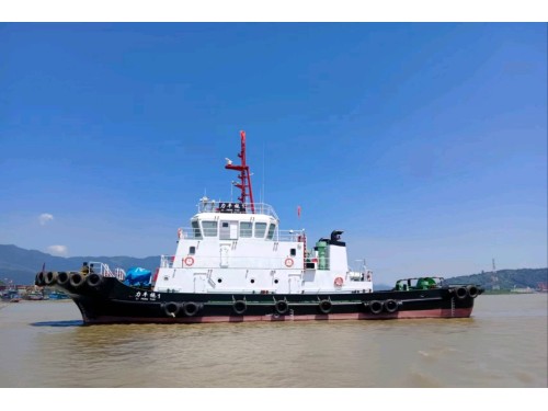 出售2500马力常规拖轮Sell 2500 HP Conventional Tug图1