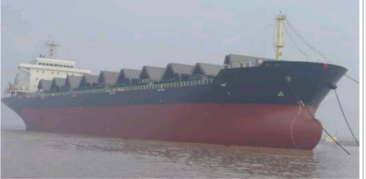 出售50000吨散货船Sale of 50,000-ton bulk carriers