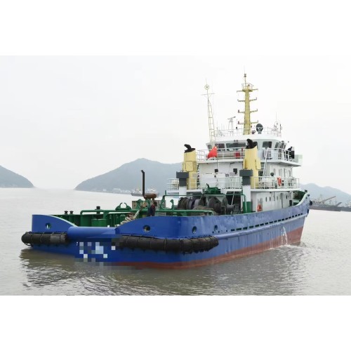 出售2009年造2700马力近海普通拖轮 - 图片 2