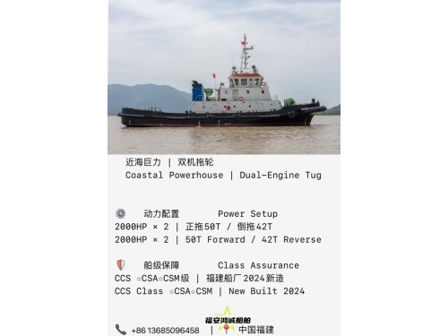 全新2024建造 | 近海4000马力拖轮 New Built 2024 | 4000 HP Coastal Tug图3