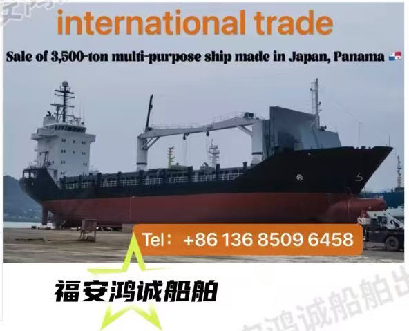 For Sale: 3,500 DWT For Sale: 3,500 DWT  出售：3500吨带吊多用途船 - 图片 2