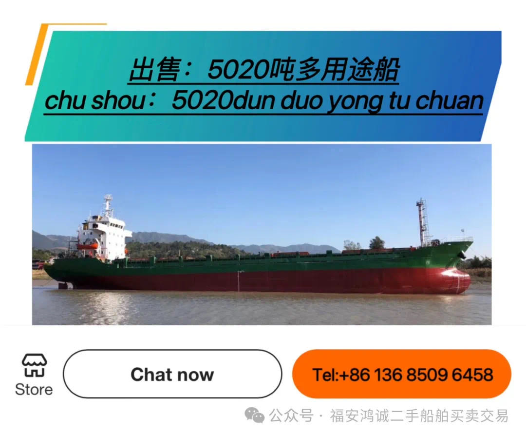 出售：2008年5020吨多用途船