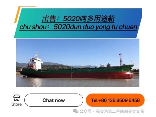 出售:2008年5020吨多用途船图1