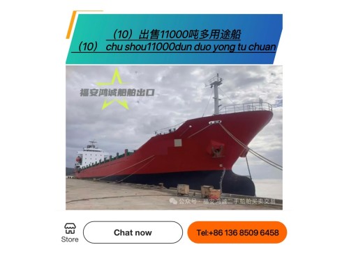 出售:各种多用途船/集装箱船图3