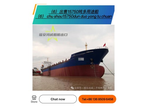 出售:各种多用途船/集装箱船图4