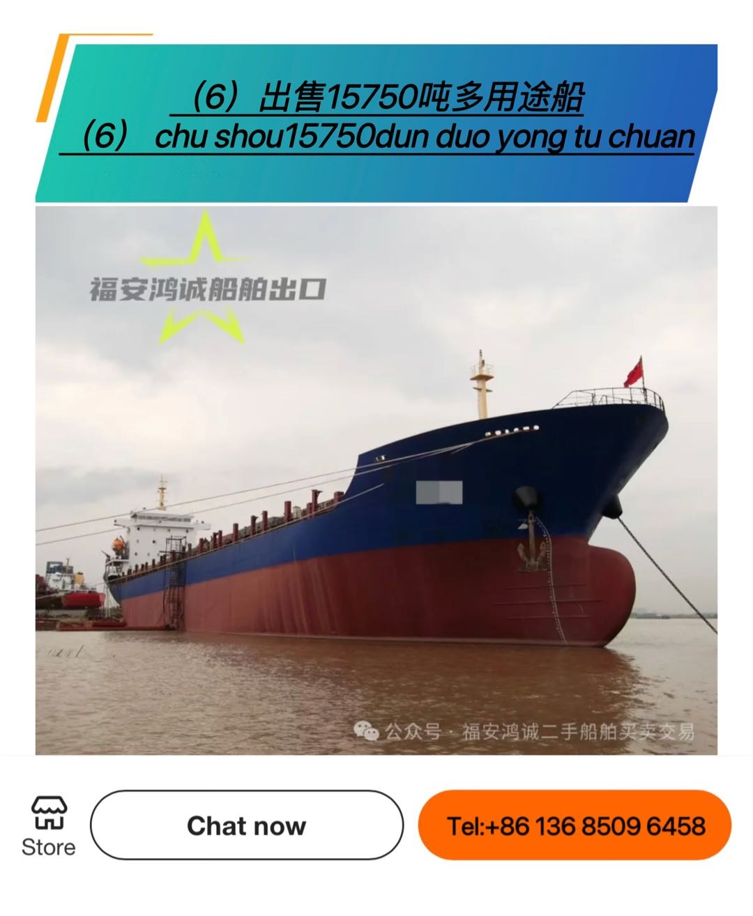 出售：各种多用途船/集装箱船 - 图片 4