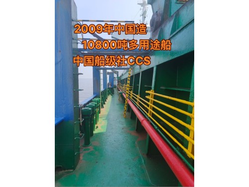 出售:各种多用途船/集装箱船图5
