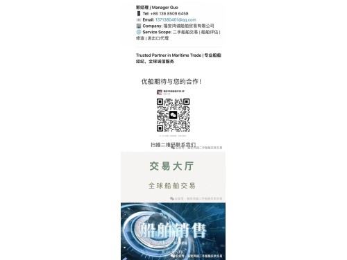 出售:各种多用途船/集装箱船图6