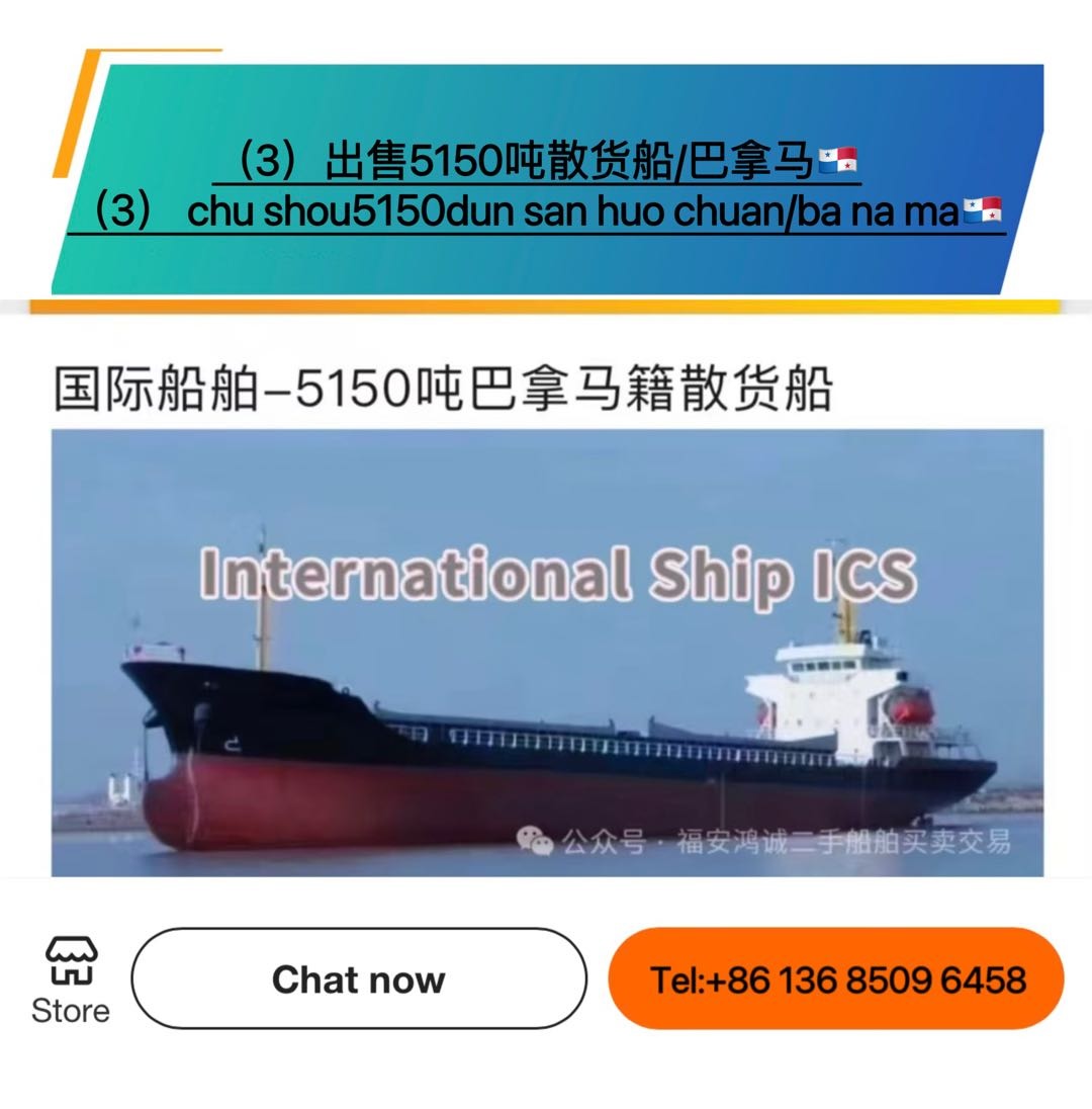 出售：各种散货船 - 图片 5