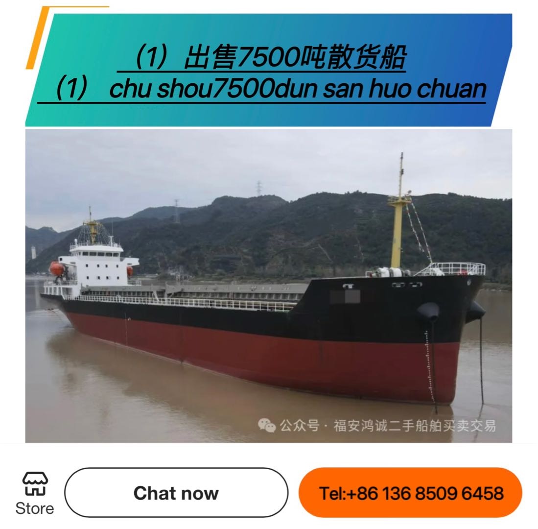 出售：各种散货船 - 图片 7