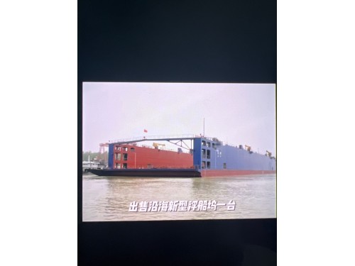 出售10000吨举力浮船坞图1