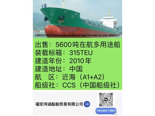 出售：2010年中国福建造5600吨多用途船图1
