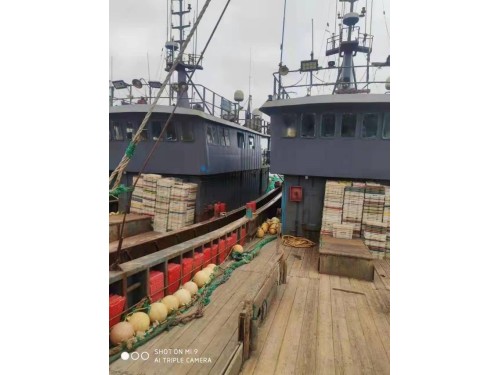 散货船2万吨，2010年-2015年