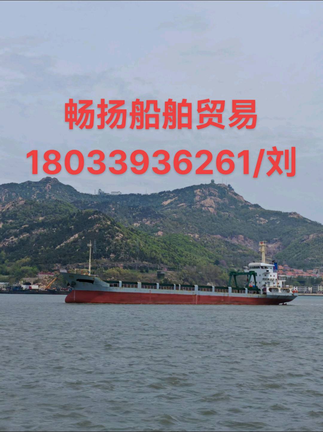 待售：162个箱位集散两用船3100吨