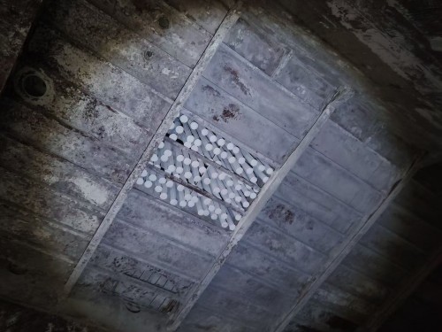 出售：3860吨运散水泥船 建造年份：2009年 建造地址：中国图5