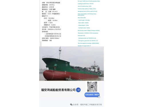 出售:2010年中国造5600吨多用途船图2
