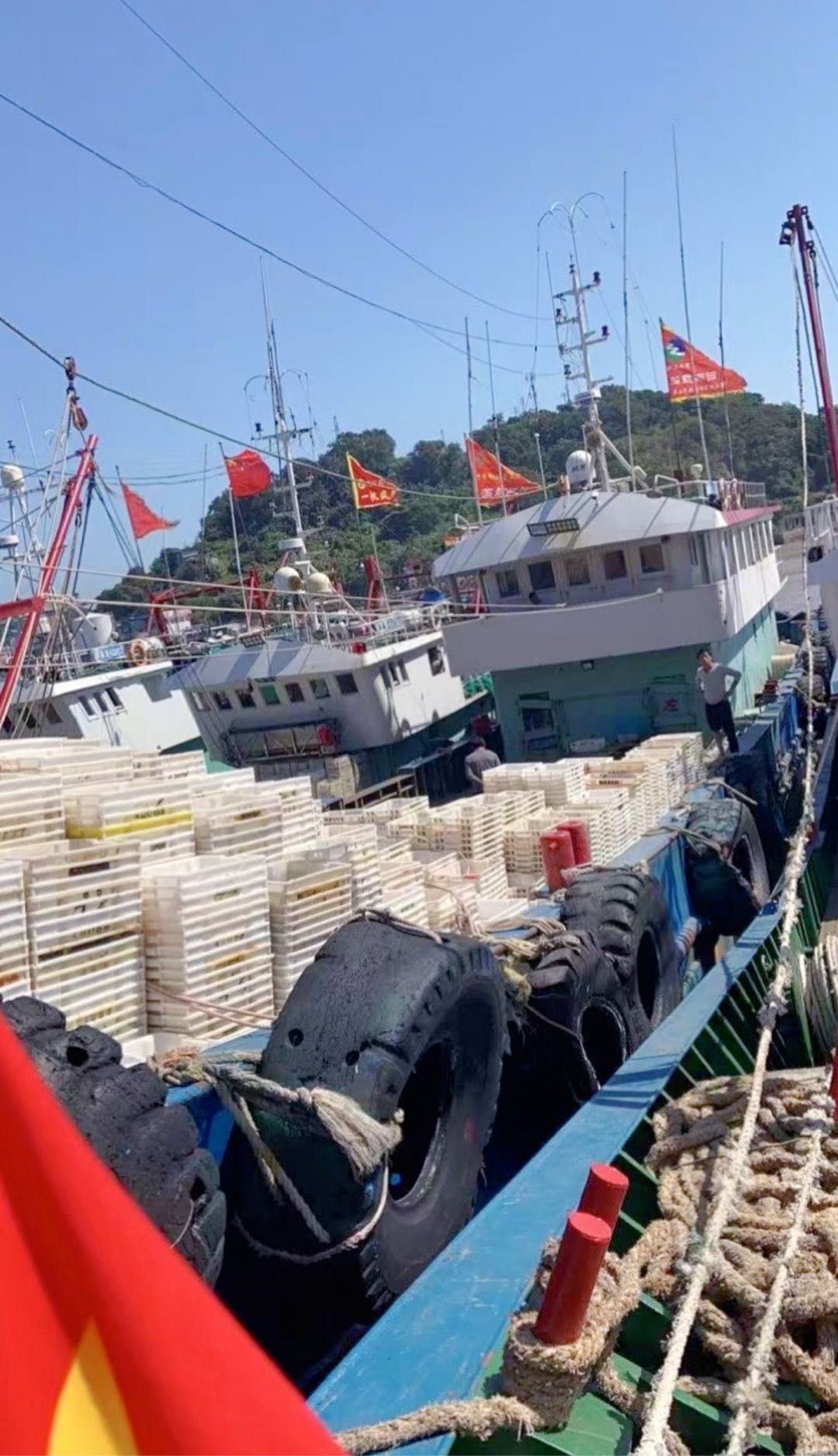渔运船加证书打包转卖