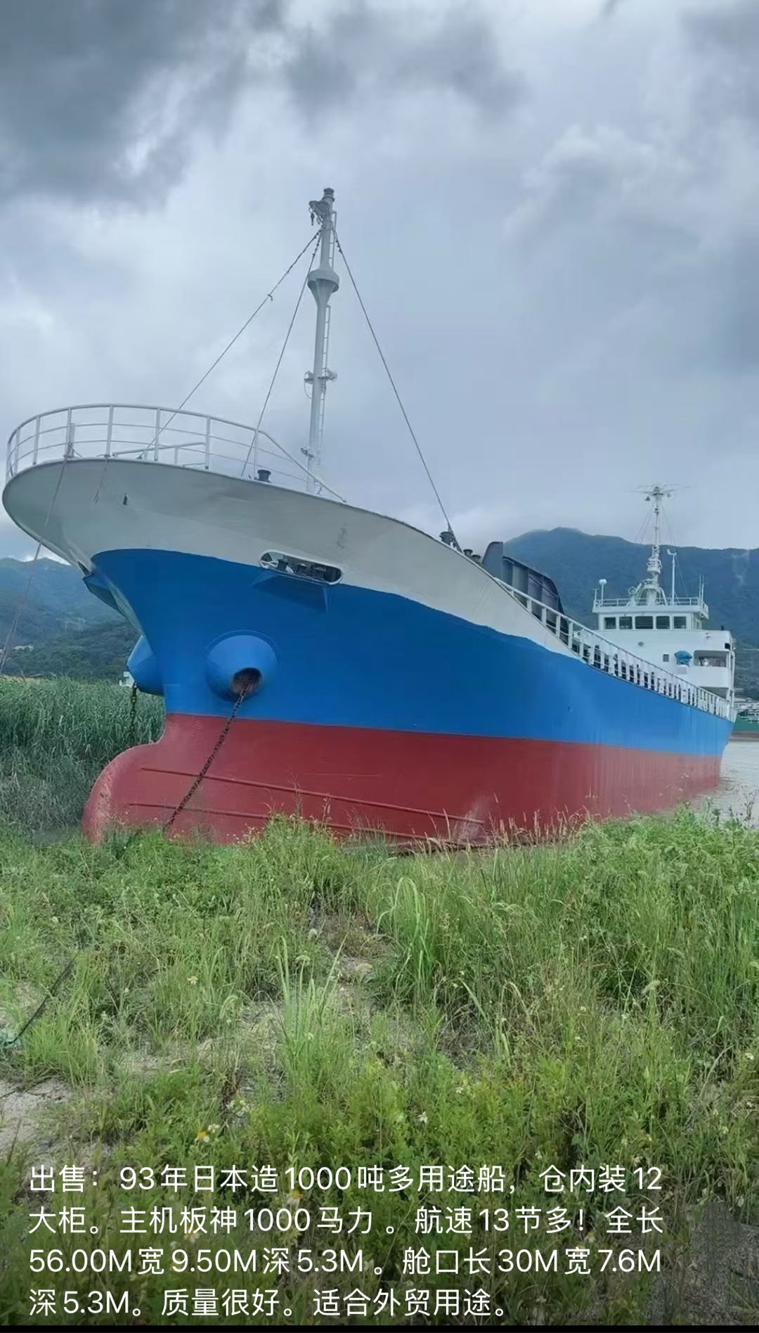 出售 多艘日本多用途集装箱船