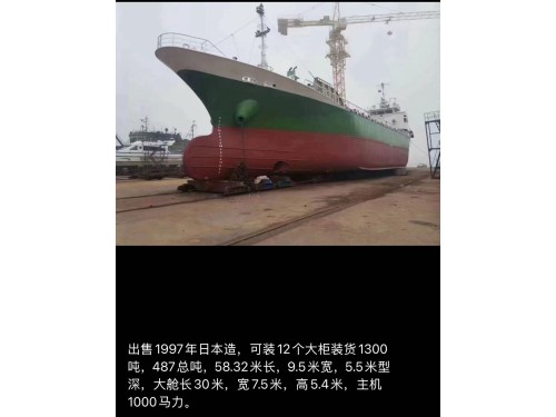 出售 多艘日本多用途集装箱船图2
