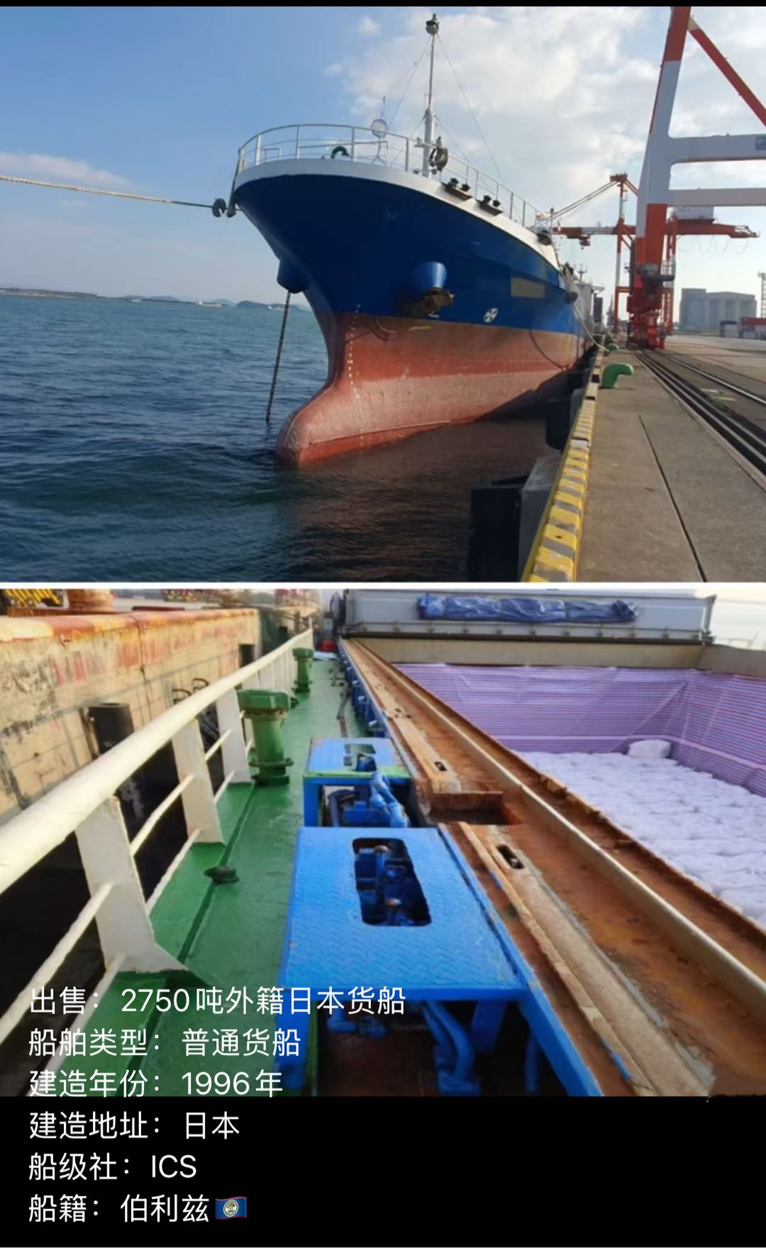 出售 多艘日本多用途集装箱船 - 图片 3