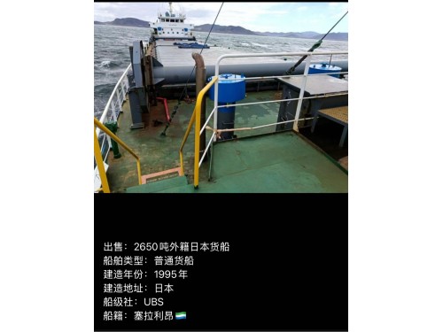 出售 多艘日本多用途集装箱船图4