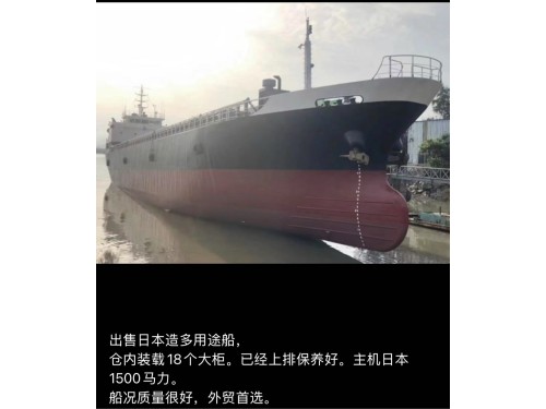 出售 多艘日本多用途集装箱船图5