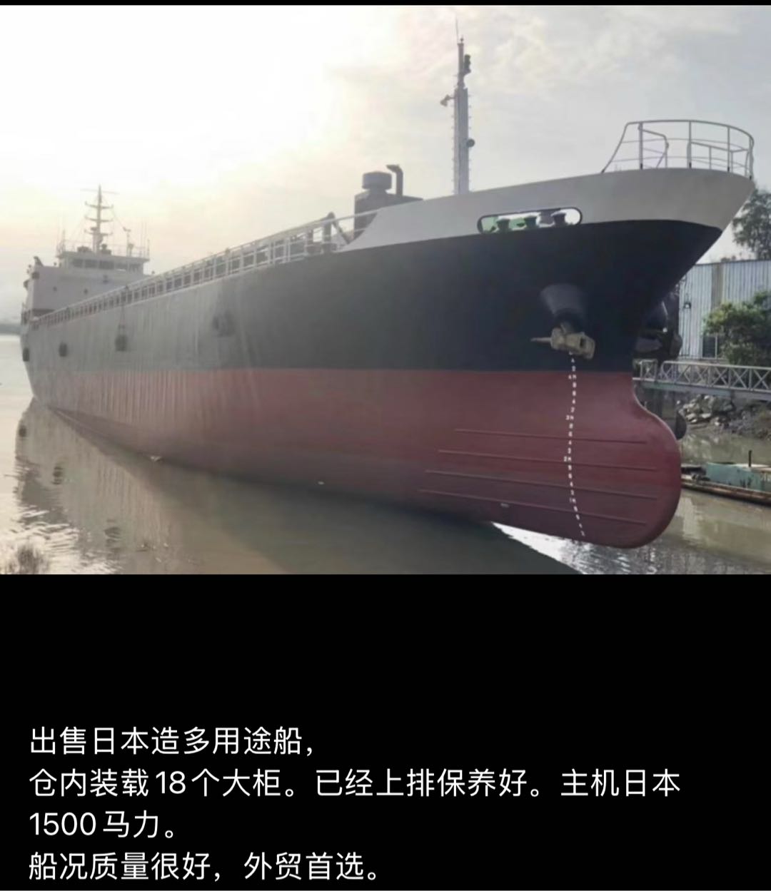 出售 多艘日本多用途集装箱船 - 图片 5
