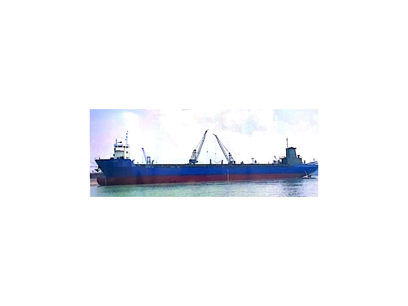 2011年建造5736吨集装箱船出售