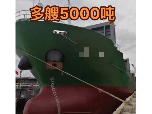 出售:2010年造5000吨多用途船图1