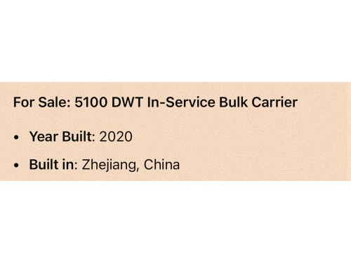 转让2020年浙江造精品5100吨散货船图2