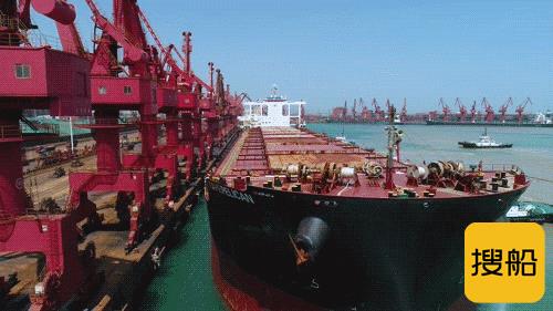 全球首艘开普型原木船“鹈鹕角”轮靠泊日照港