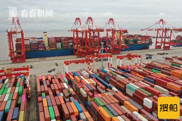 苏伊士运河堵船“蝴蝶效应”显现 上海港忙“疯”了
