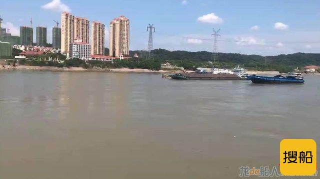 因疫情游轮滞留长江江面51小时后，游客获准宜昌上岸