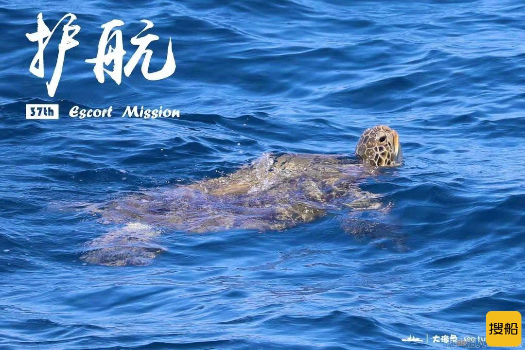 凯旋!海军第37批护航编队返回湛江某军港