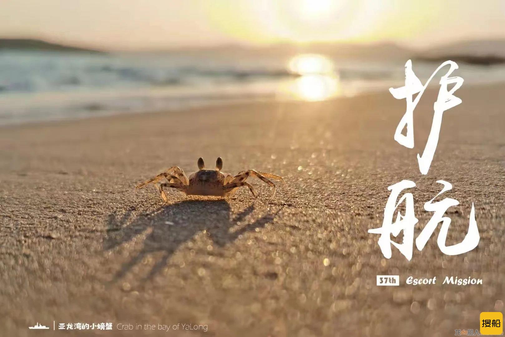 凯旋!海军第37批护航编队返回湛江某军港