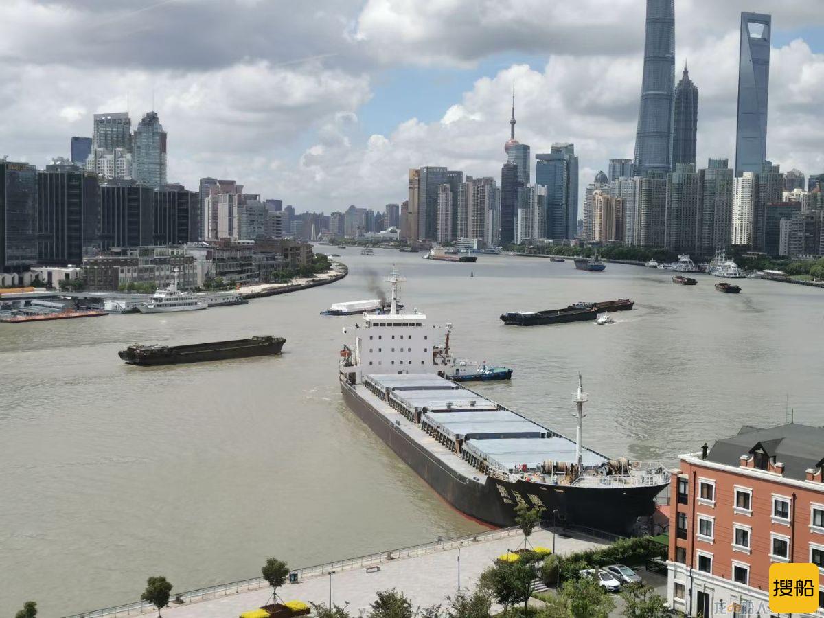 目击者描述浦东滨江被撞瞬间：海船直直撞向渡口，比雷还响